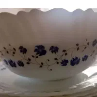 ارکوپال دو دست