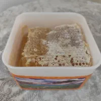 عسل ارگانیک با موم و گرده ( مستقیم از زنبورداری)