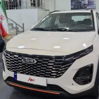 x33 cross صفر خشک