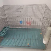 قفس عروس هلندی و غیره