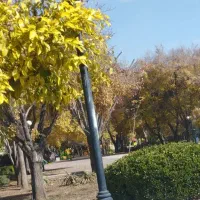 جوشکاری سیار آلاچیق نرده حفاظ