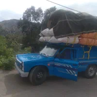 فروش کاه نرم