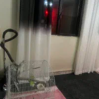 همخونه خانم