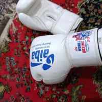 دستکش بوکس|تجهیزات ورزشی|گرگان, |دیوار