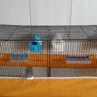 قفس جوجه پرون و عادی