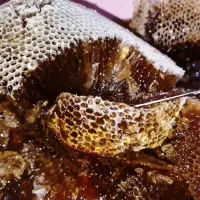 سردی مفاصل رماتیسم