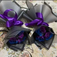 قیمت ها اقتصادی و مناسب شرایط شما