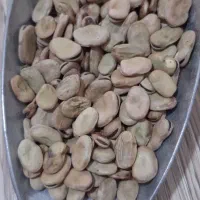 باقله ارگانیک رامهرمز