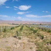 فروش باغ زیبا و آینده دار|فروش زمین و ملک کلنگی|زنجانرود, |دیوار