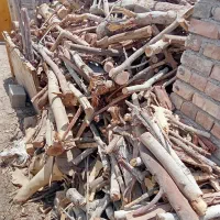 قطع وبرش وتیکه کردن چوب هرس درخت خشک بااره موتوری