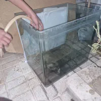 اکواریوم|ماهی|کرج, شهرک فهمیده|دیوار