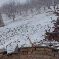 باغبانی و نگهبانی در باغ