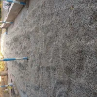 تخمه آفتابگردان سفید مرغوب