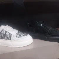 کفش زنانه و مردانه|کیف، کفش، کمربند|شوشتر, |دیوار