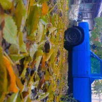 نیسان مدل ۸۷