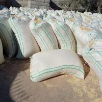 کاه سفید|خدمات باغبانی و درختکاری|ایرانشهر, |دیوار