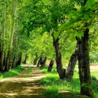 فروش باغچه 1000متری سپیدان سربست