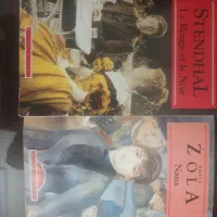 رمان فرانسوی