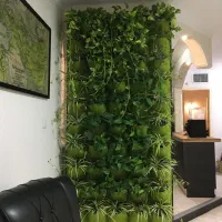 گرین وال نمدی ۵۰ خانه بزرگ|گل مصنوعی|تهران, شهرک غرب|دیوار