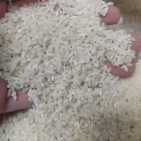 برنج هاشمی معطر کشت دوم و اول|خوردنی و آشامیدنی|تربتحیدریه, حسنی بالا|دیوار