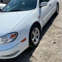 ماکسیما استثنایی درجه یک|خودرو سواری و وانت|پرند, فاز ۱|دیوار