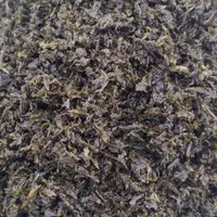 قرمه سبزی سرخ شده خشک ارسال به همه نقاط کشوررایگان|خوردنی و آشامیدنی|مشهد, رضاشهر|دیوار