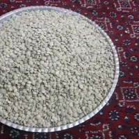 حبوبات|خوردنی و آشامیدنی|ایجرود, |دیوار