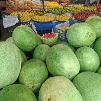 به یه صندوق دار خانم نیازمندیم