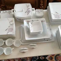 ظروف چینی