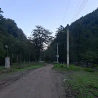 در کنار رودخانه باویوی عالی درقلب جنگل|اجارهٔ کوتاه‌مدت ویلا و باغ|آلاشت, |دیوار