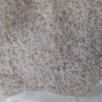 برنج محلی دم سیاه کلات