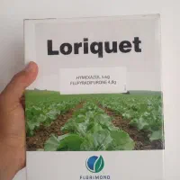 بذر چغندرقند