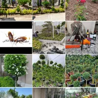 خدماتباغبانیوسمپاشیصفرتاصدبومهن پردیس مهراباد