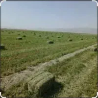 یونجه انباری|عمدهفروشی|دشتابی, |دیوار