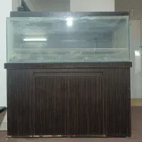 آکواریوم بزرگ