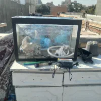 اکواریوم سالم باوسایل|ماهی|خوی, |دیوار