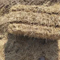 پرس گندم|حیوانات مزرعه|ملکآباد, |دیوار