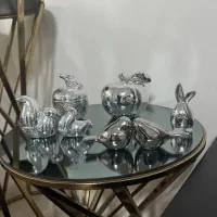 اکسسوری نقره ایی