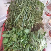 میوه فروشی برکت|خوردنی و آشامیدنی|فولادشهر, مسکن مهر فولادشهر|دیوار