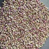 فروش پسته و مغز توسط بازرگانی شنتیا پیشگام خراسان|خوردنی و آشامیدنی|مشهد, امام خمینی|دیوار