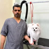 آرایشگر حیوانات خانگی در منزل با تعیین وقت قبلی