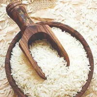 برنج ندا کشاورز