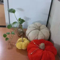 کدوهای پارچه ای فانتزی|صنایع دستی و سایر لوازم تزئینی|تهران, آهنگران (سراسیاب دولاب)|دیوار