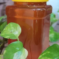 عسل نمدار طبیعی