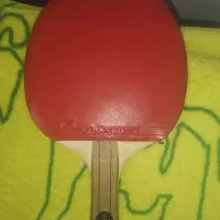 راکت دورادو|ورزشهای توپی|قائن, |دیوار