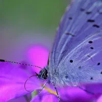 لطفا وارداین قسمت از میلی بشید ممنونم از همتون