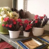 تزئینی|گل مصنوعی|ایلام, |دیوار