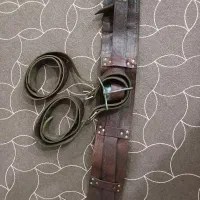 کمربند علم کاملا سالم