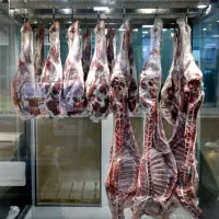اجاره مغازه گوشت و مرغ و پروتئین بازارچه نفت|اجارهٔ مغازه و غرفه|تهران, شهرک نفت|دیوار