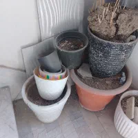 یک تعداد گلدان طبق تصویر